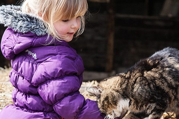 girl-with-cat-haybale_SLIDER