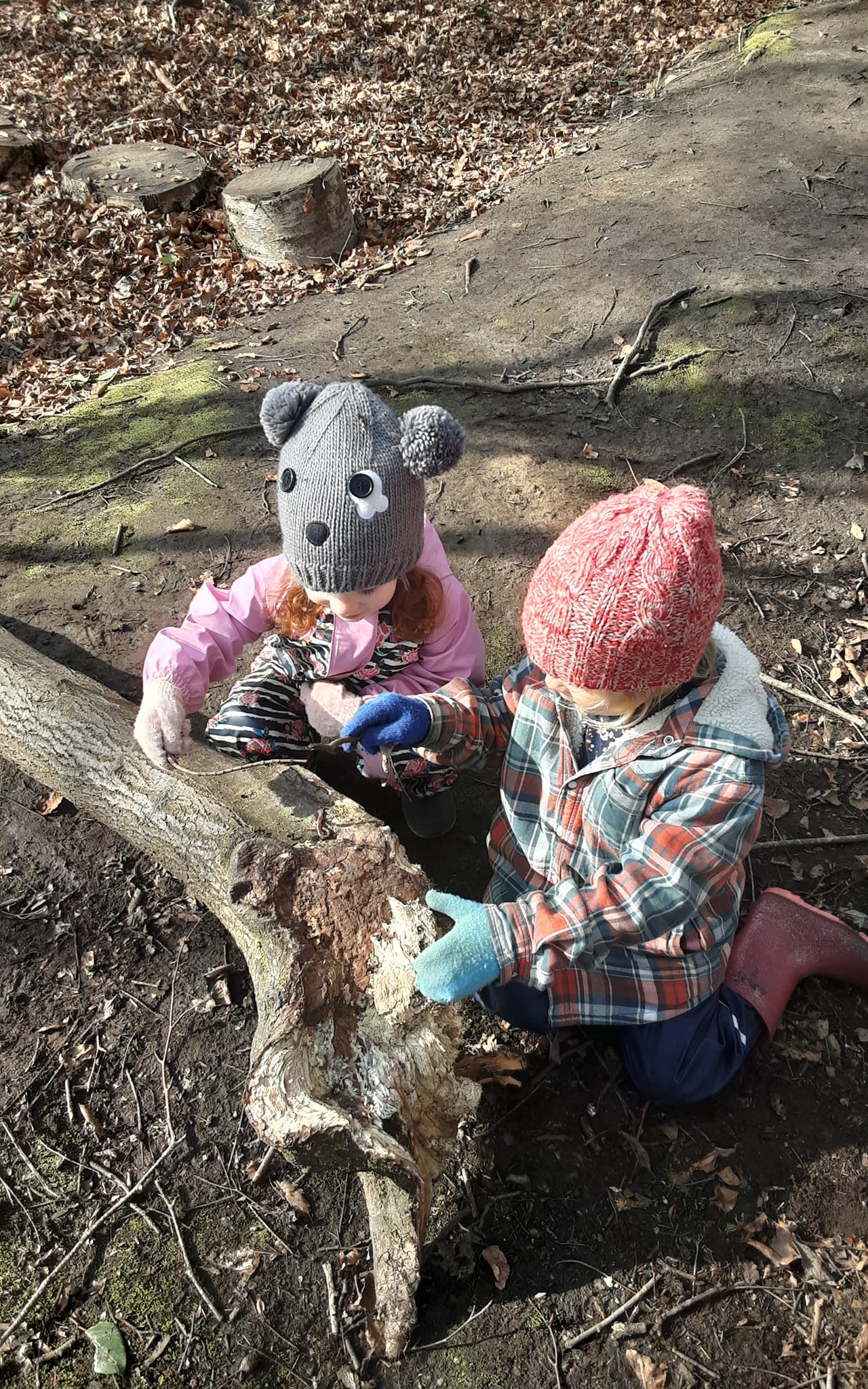 Forest Fun