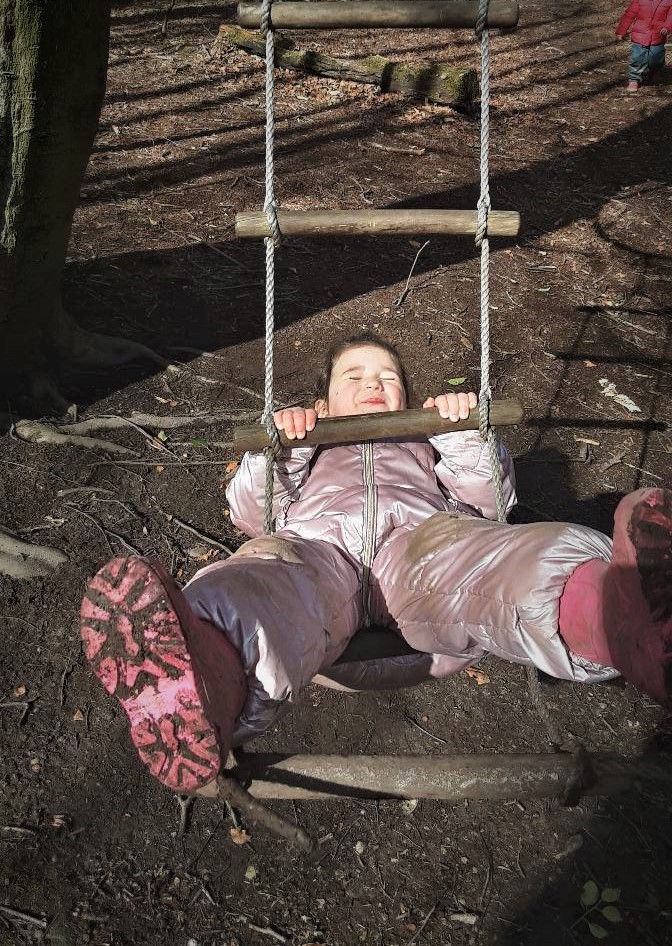 Forest Swing