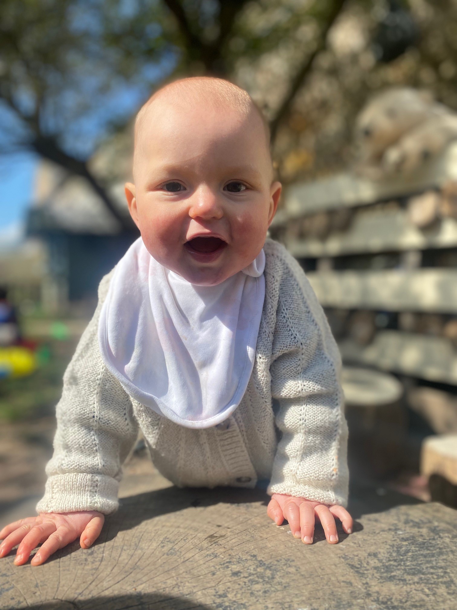 Sunshine in the Garden